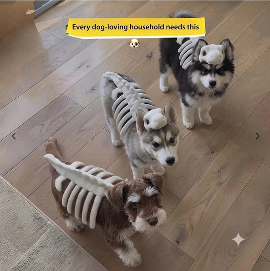 Dinosaur Skeleton Dog Costume